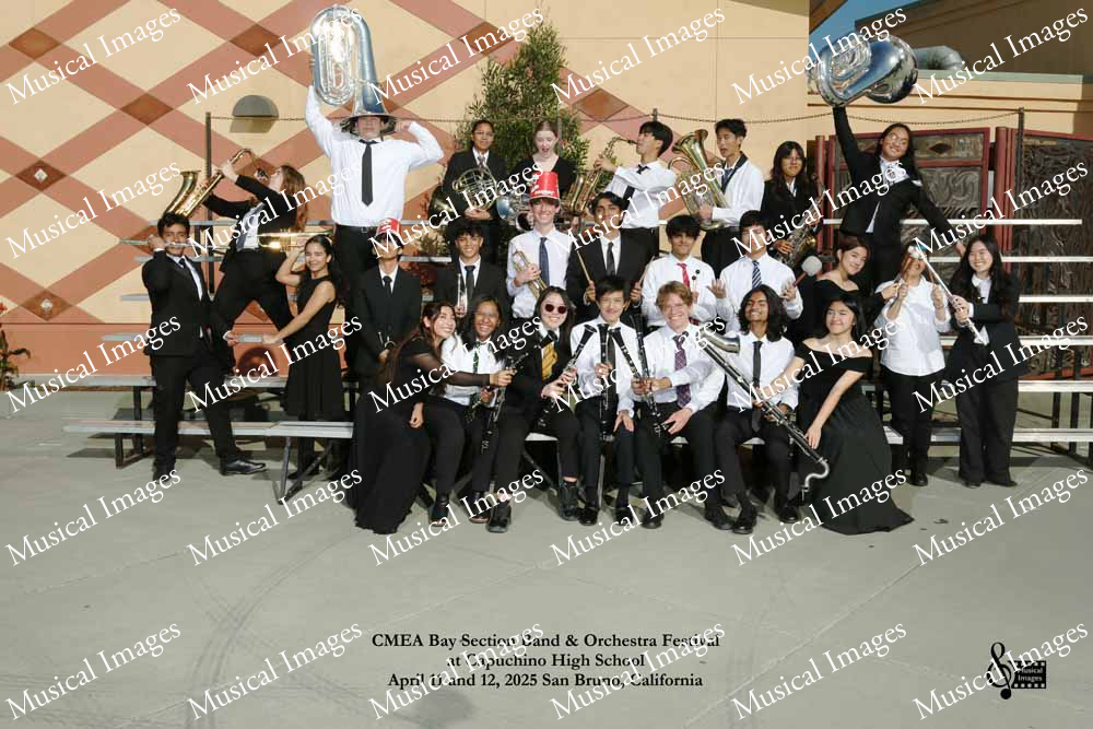 Musical Images